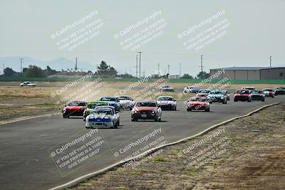 media/May-04-2025-Lucky Dog Racing (Sun) [[21629467aa]]/Race Start/